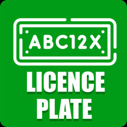 Change License Plate Number icon