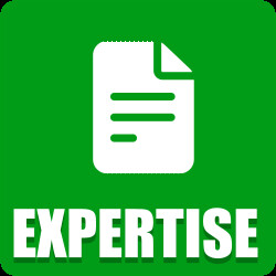Make 1 expertise icon