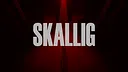 Skallig Screenshot 0