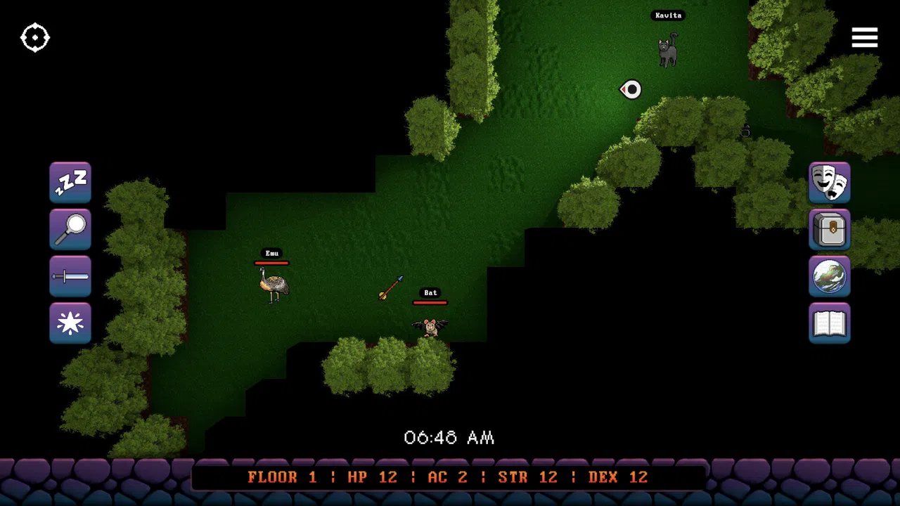 Ma vie en rogue Screenshot 11