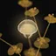 Yellow Lake Complete icon