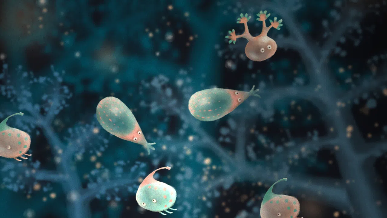 Jellies of the Deep Screenshot 4