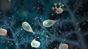 Jellies of the Deep Screenshot 4
