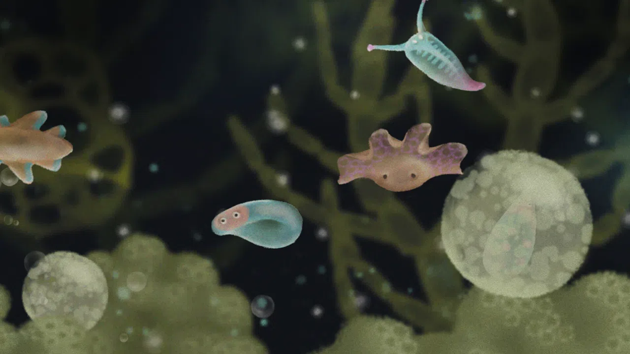 Jellies of the Deep Screenshot 3