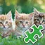 3 Cat Brothers - Very Easy icon