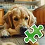 Huge Bone - Very Easy icon