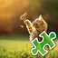 Cute Cat Playing - Very Easy icon