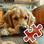 Huge Bone - Very Hard icon