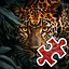 Big Cat - Very Hard icon