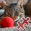 Red Ball - Very Hard icon