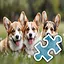 3 Dog Brothers - Normal icon