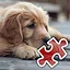 Go Outside - Very Hard icon