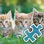 3 Cat Brothers - Normal icon