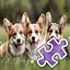 3 Dog Brothers - Hard icon
