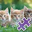 3 Cat Brothers - Hard icon