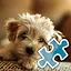 Can We Play? - Normal icon