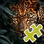 Big Cat - Easy icon