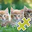 3 Cat Brothers - Easy icon