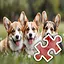 3 Dog Brothers - Very Hard icon