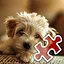 Can We Play? - Very Hard icon
