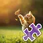 Cute Cat Playing - Hard icon