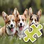 3 Dog Brothers - Easy icon