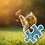 Cute Cat Playing - Normal icon