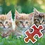 3 Cat Brothers - Very Hard icon