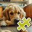 Huge Bone - Easy icon