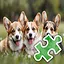 3 Dog Brothers - Very Easy icon