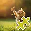 Cute Cat Playing - Easy icon