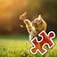 Cute Cat Playing - Very Hard icon