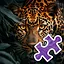 Big Cat - Hard icon