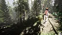 Wild Encounters - Cedar Woods Campground Screenshot 10