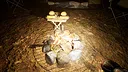 Wild Encounters - Cedar Woods Campground Screenshot 11