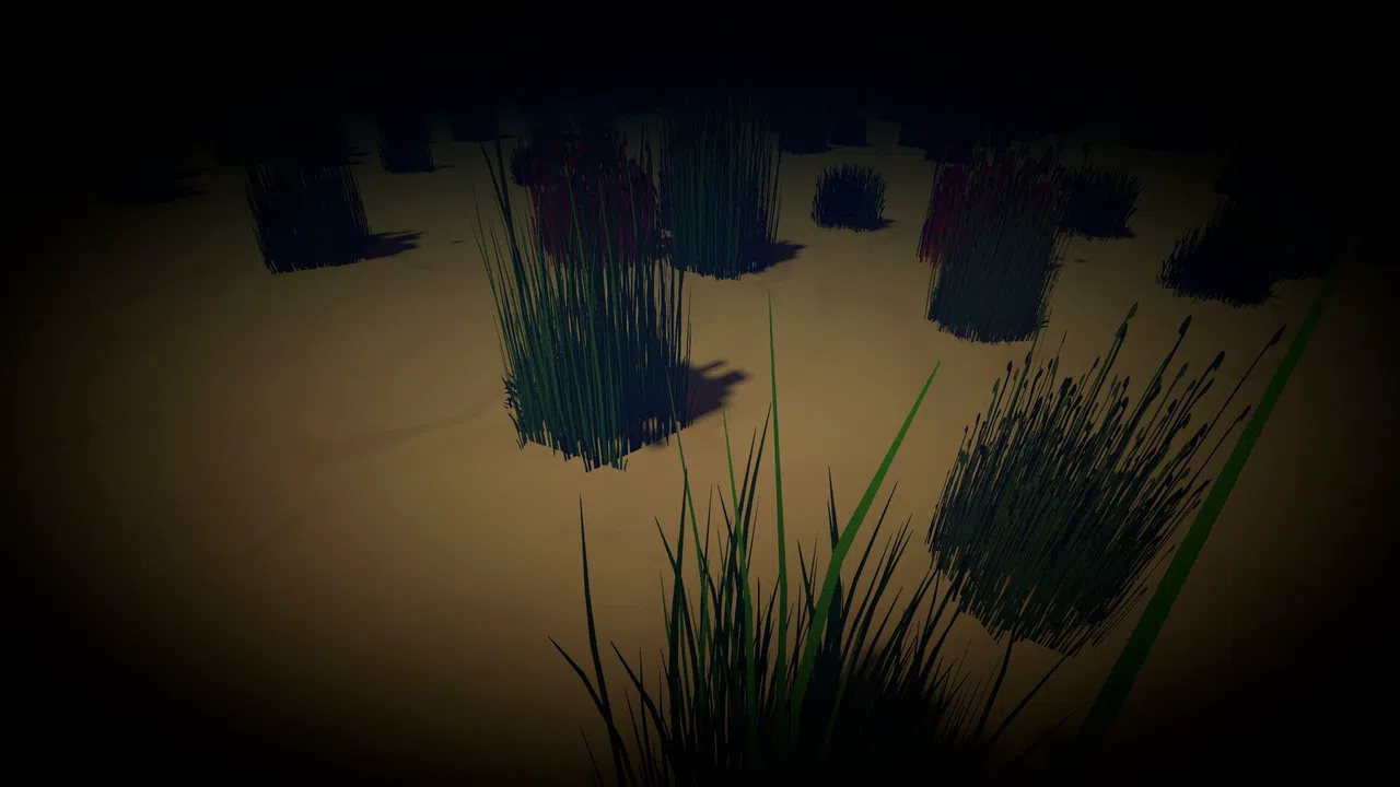 Diving Focus Screenshot 5