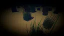 Diving Focus Screenshot 5