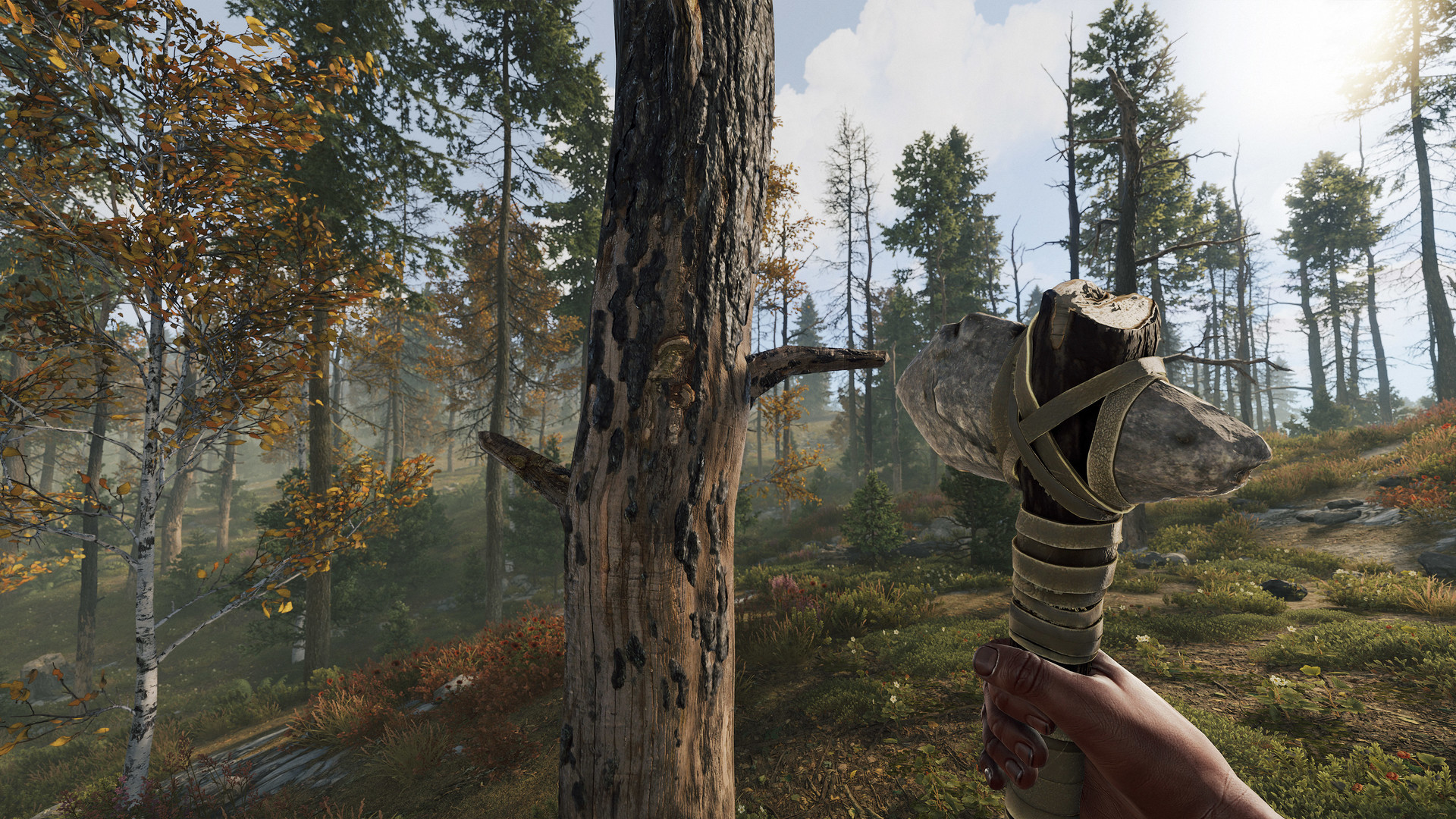 Rust Screenshot 8