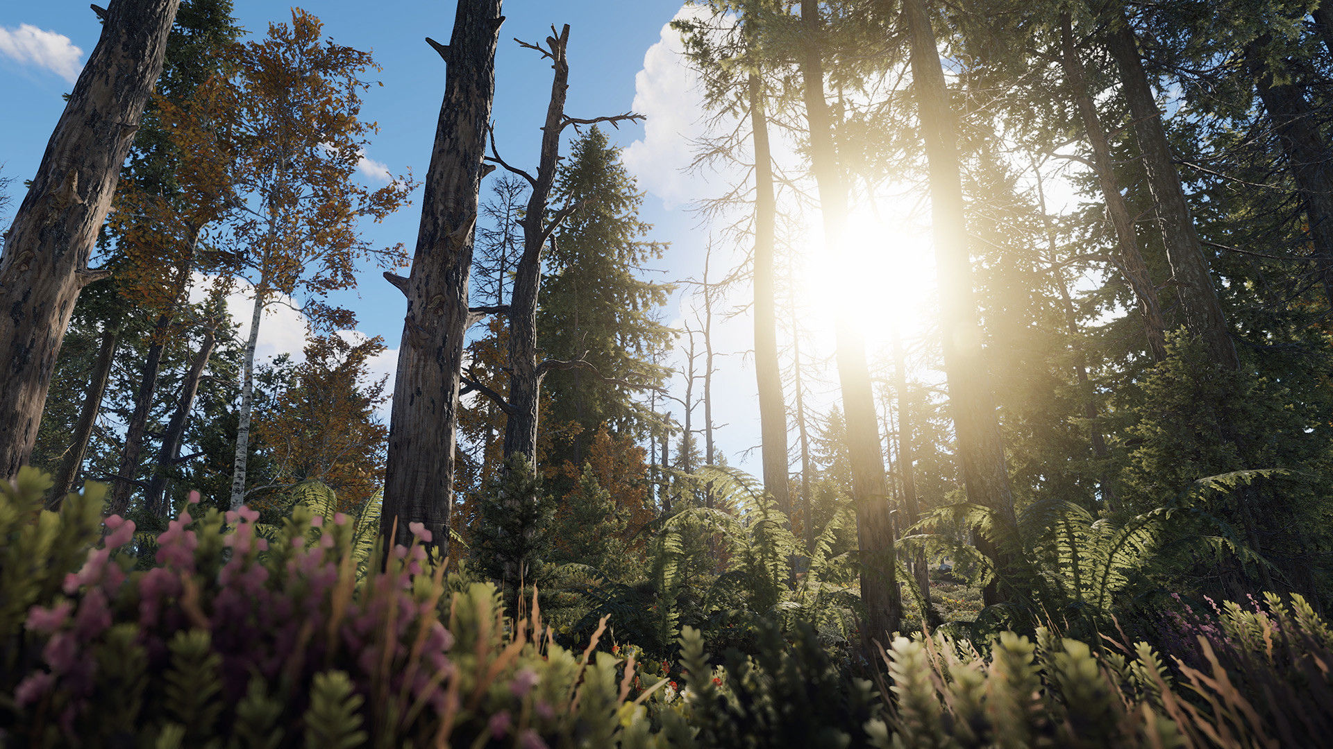 Rust Screenshot 30