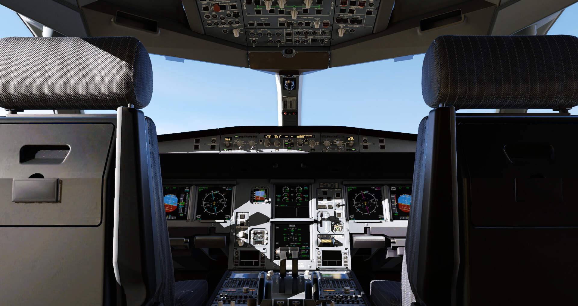 X-Plane 12 Screenshot 1
