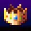 Max Level icon