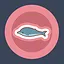 Beluga Whale icon