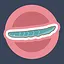 Little Dolphin icon
