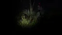Gravewatch Demo Screenshot 2