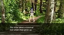 Ninja Forest Maze - bikini mode Screenshot 0