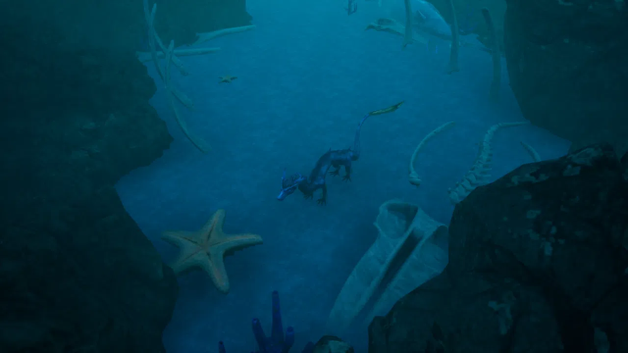SEIDEN Screenshot 4