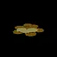 Multi-thousandaire icon