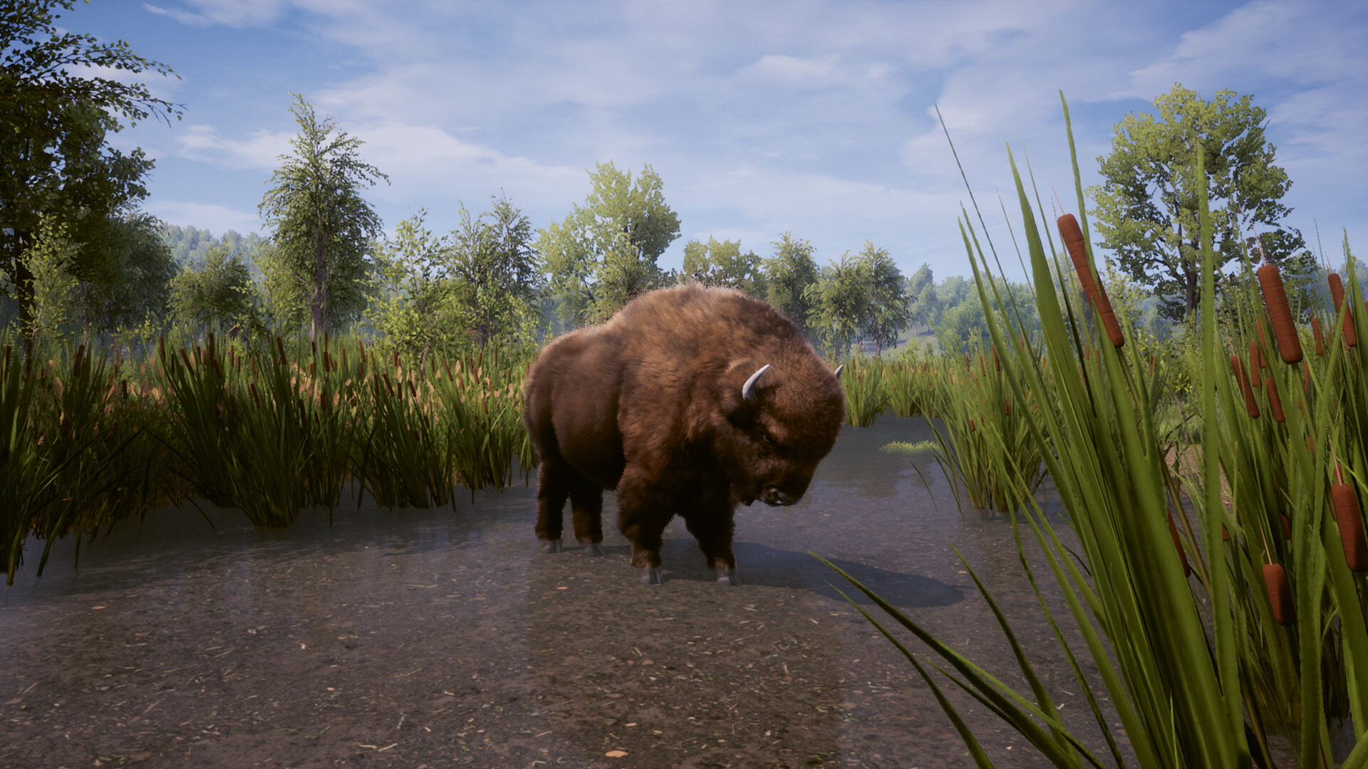 Medieval Dynasty Screenshot 14