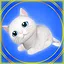 Beyond cat's perception icon
