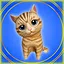 Cats all around icon